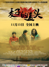 美女在线一区二区